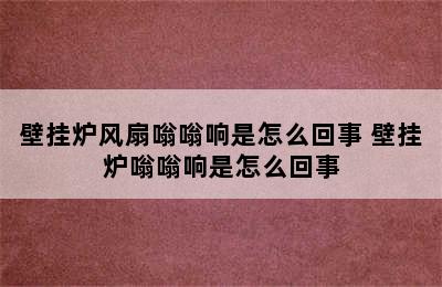 壁挂炉风扇嗡嗡响是怎么回事 壁挂炉嗡嗡响是怎么回事